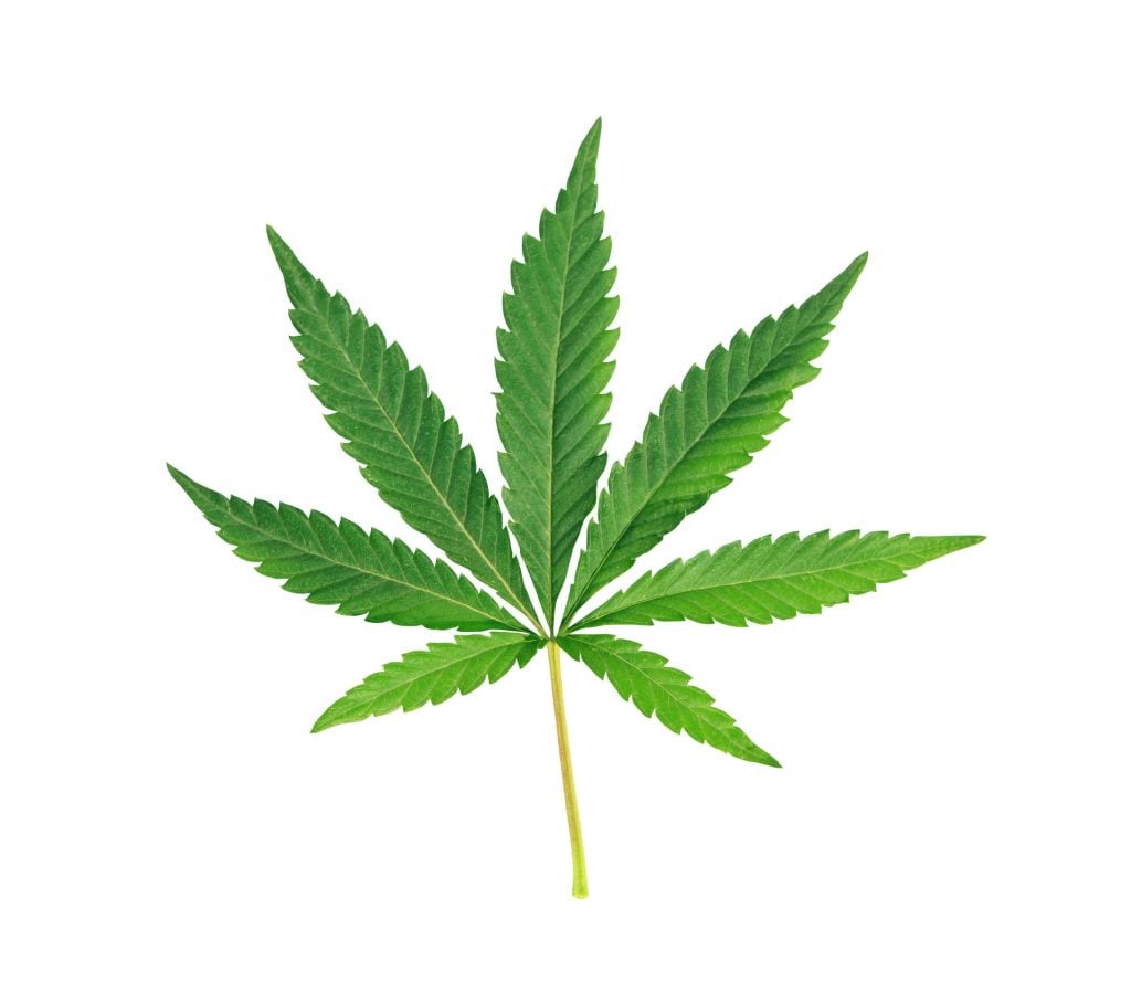 Prop 207 marijuana convictions